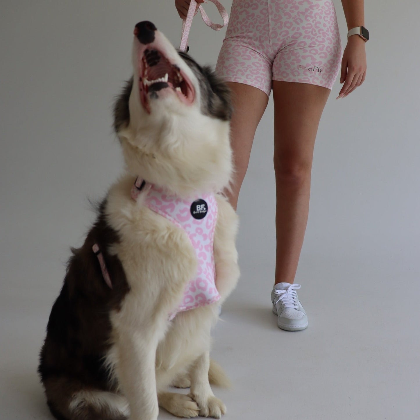 Pink Safari Pet Harness