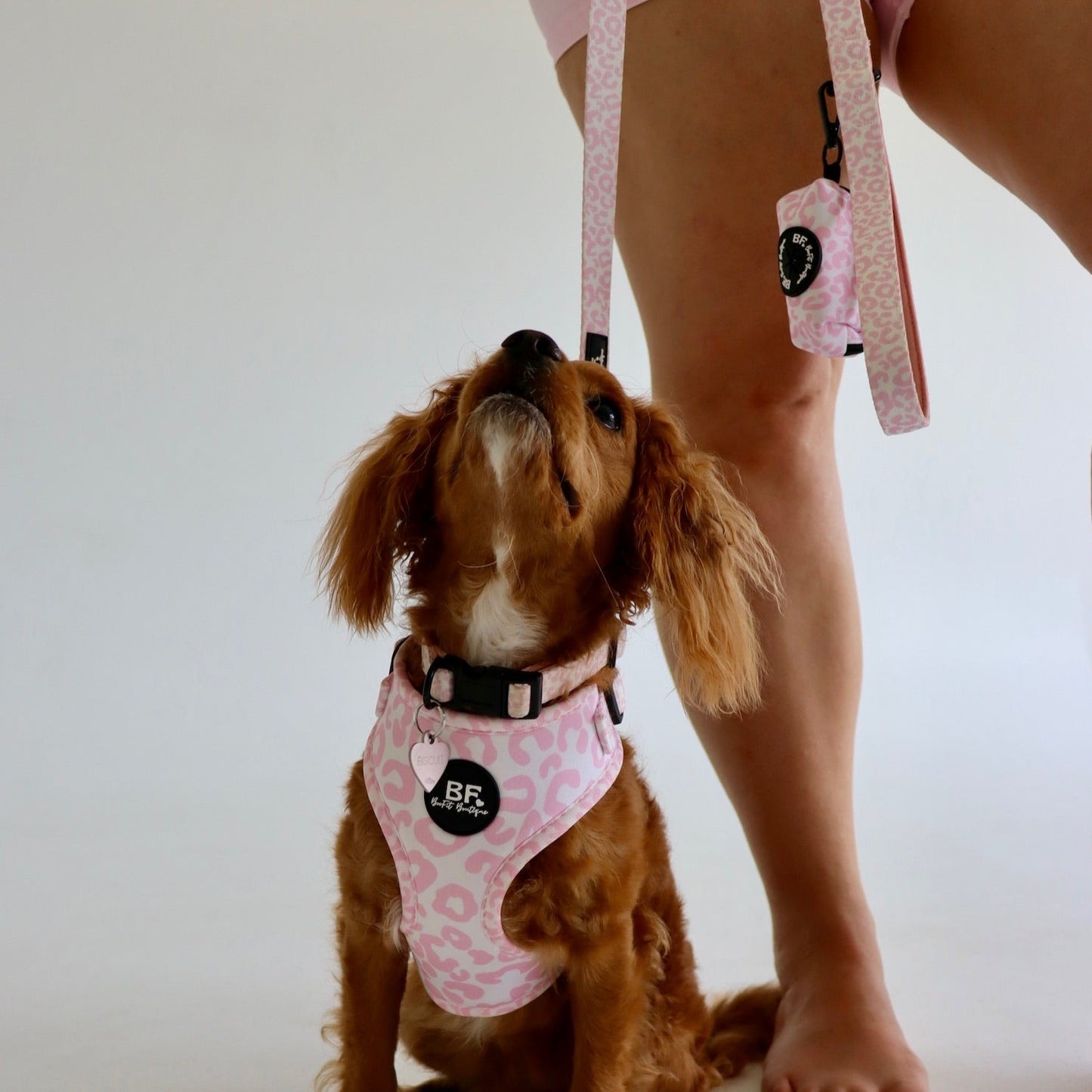 Pink Safari Pet Harness