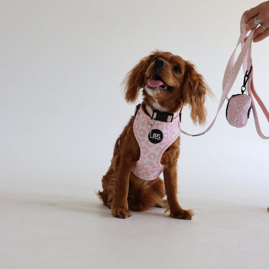 Pink Safari Pet Collar