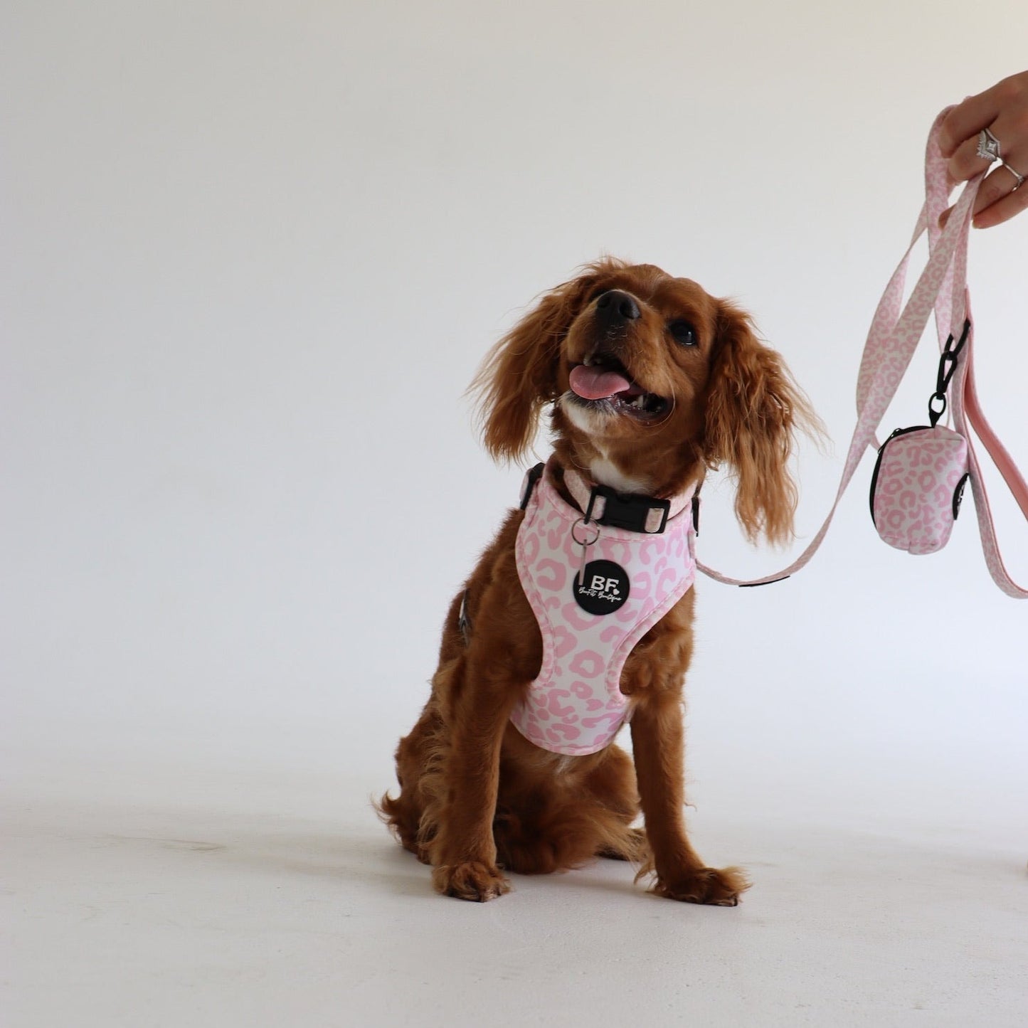 Pink Safari Pet Leash