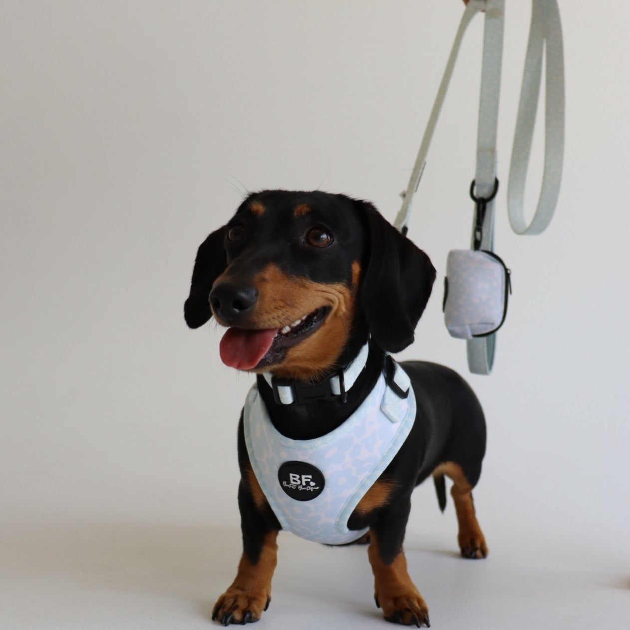 Blue Miami Pet Harness