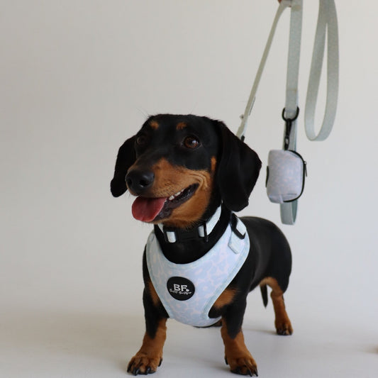 Blue Miami Pet Harness