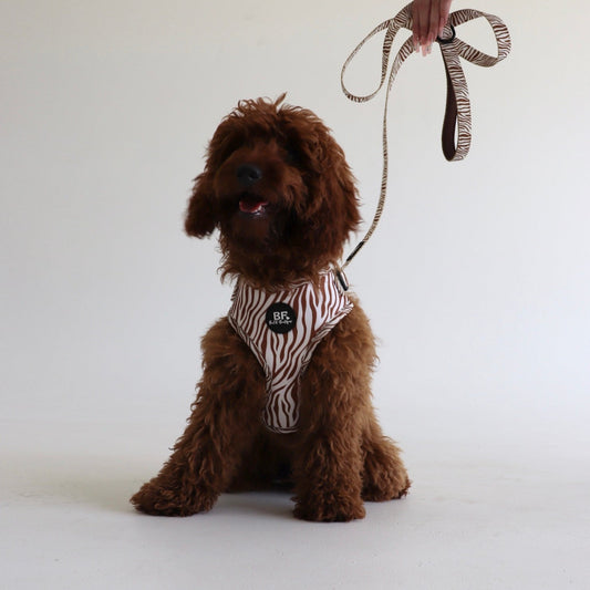 Brown Safari Pet Harness