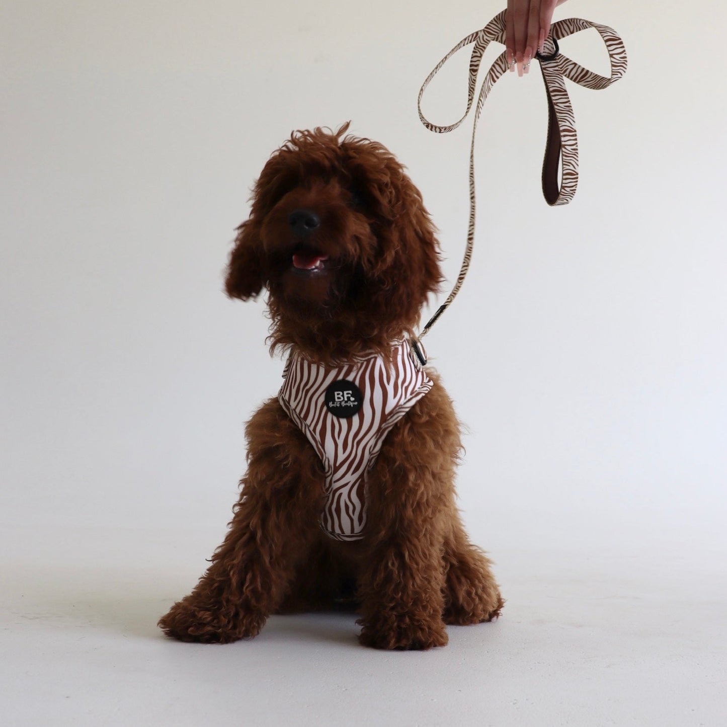 Brown Safari Pet Leash