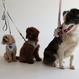 Blue Miami Pet Leash