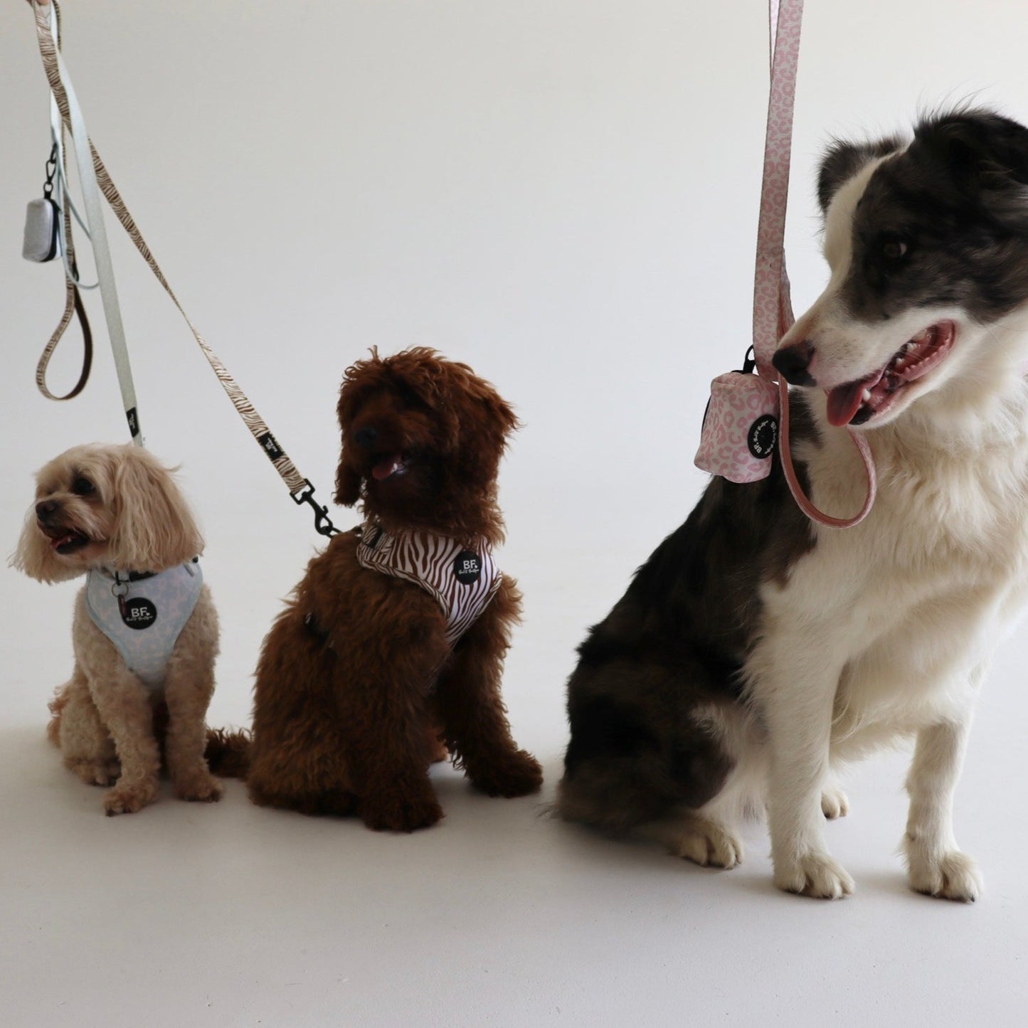 Blue Miami Pet Leash