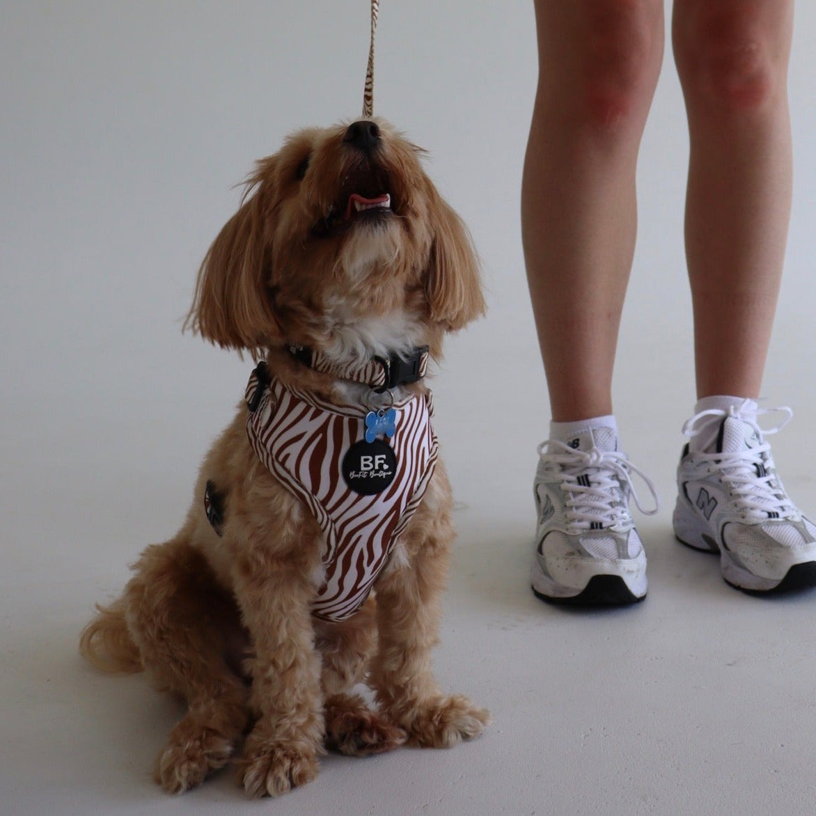 Brown Safari Pet Harness